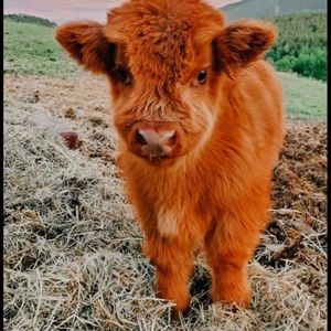 Meet your Posher, Braden